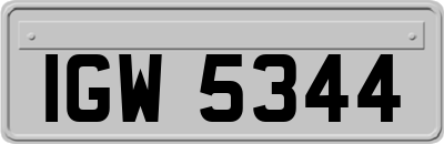IGW5344