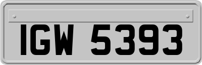 IGW5393