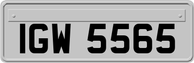 IGW5565