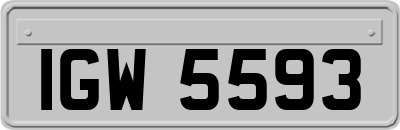 IGW5593