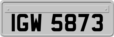 IGW5873