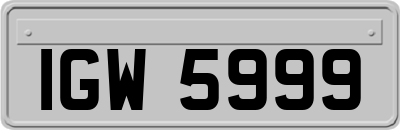 IGW5999