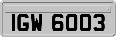 IGW6003