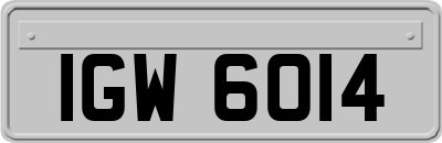 IGW6014