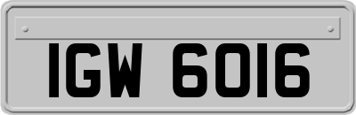 IGW6016