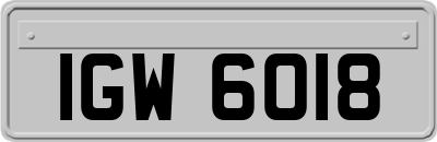 IGW6018