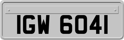 IGW6041