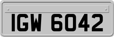 IGW6042