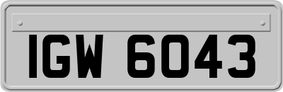 IGW6043