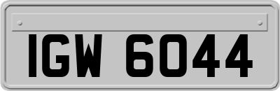 IGW6044