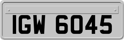 IGW6045