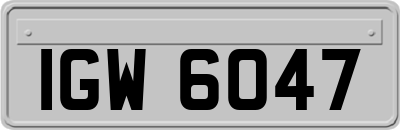 IGW6047