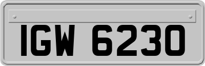 IGW6230