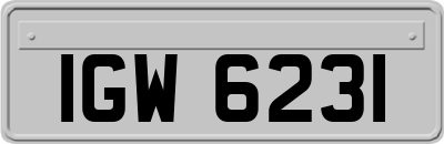 IGW6231