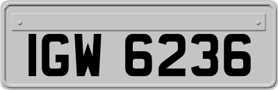 IGW6236