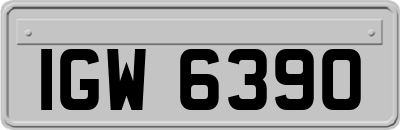 IGW6390