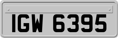 IGW6395