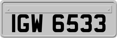 IGW6533