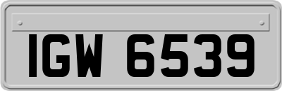 IGW6539