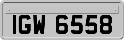 IGW6558