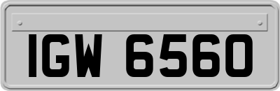 IGW6560