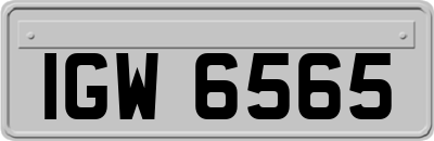 IGW6565