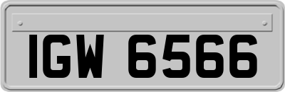 IGW6566