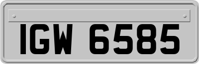 IGW6585