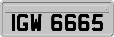 IGW6665