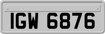 IGW6876