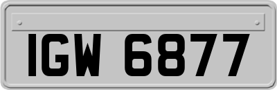 IGW6877