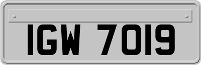 IGW7019