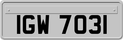 IGW7031