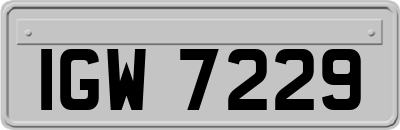 IGW7229
