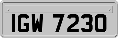 IGW7230