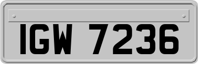 IGW7236