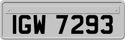 IGW7293