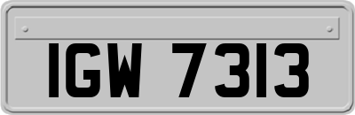 IGW7313