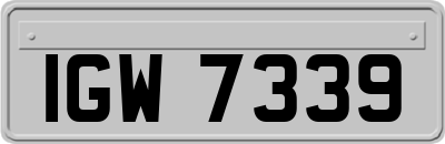 IGW7339