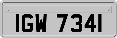IGW7341