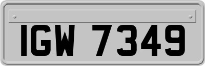 IGW7349