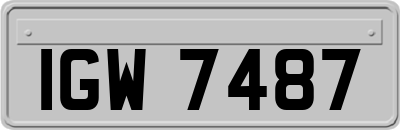 IGW7487