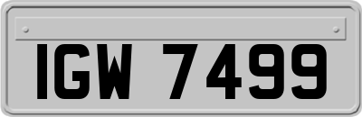 IGW7499