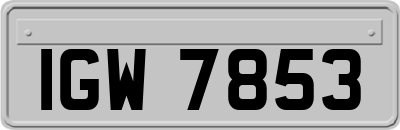 IGW7853