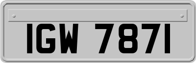 IGW7871