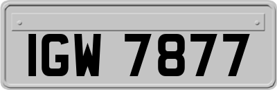 IGW7877