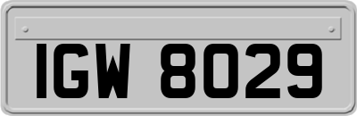 IGW8029