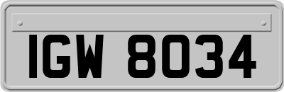 IGW8034