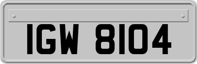 IGW8104