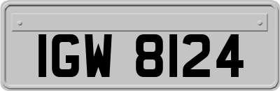IGW8124